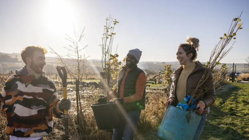 3 people planting trees.